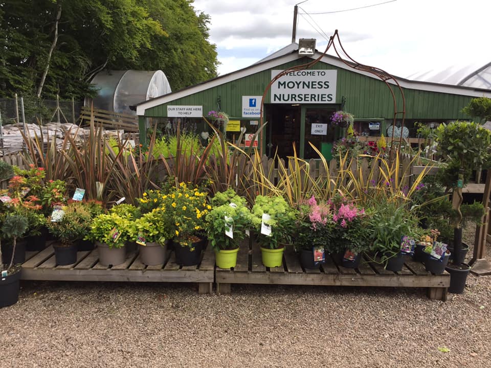 Moyness Nurseries & Garden Centre